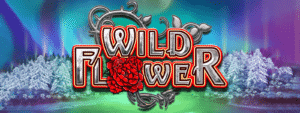 Big Time Gaming Wild Flower