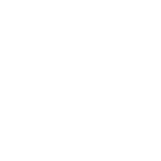 Lucky VIP Logo