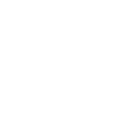 PlatinCasino Logo