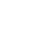 Spinland Logo