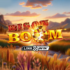Bison Boom Logo