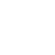 Bally Logo