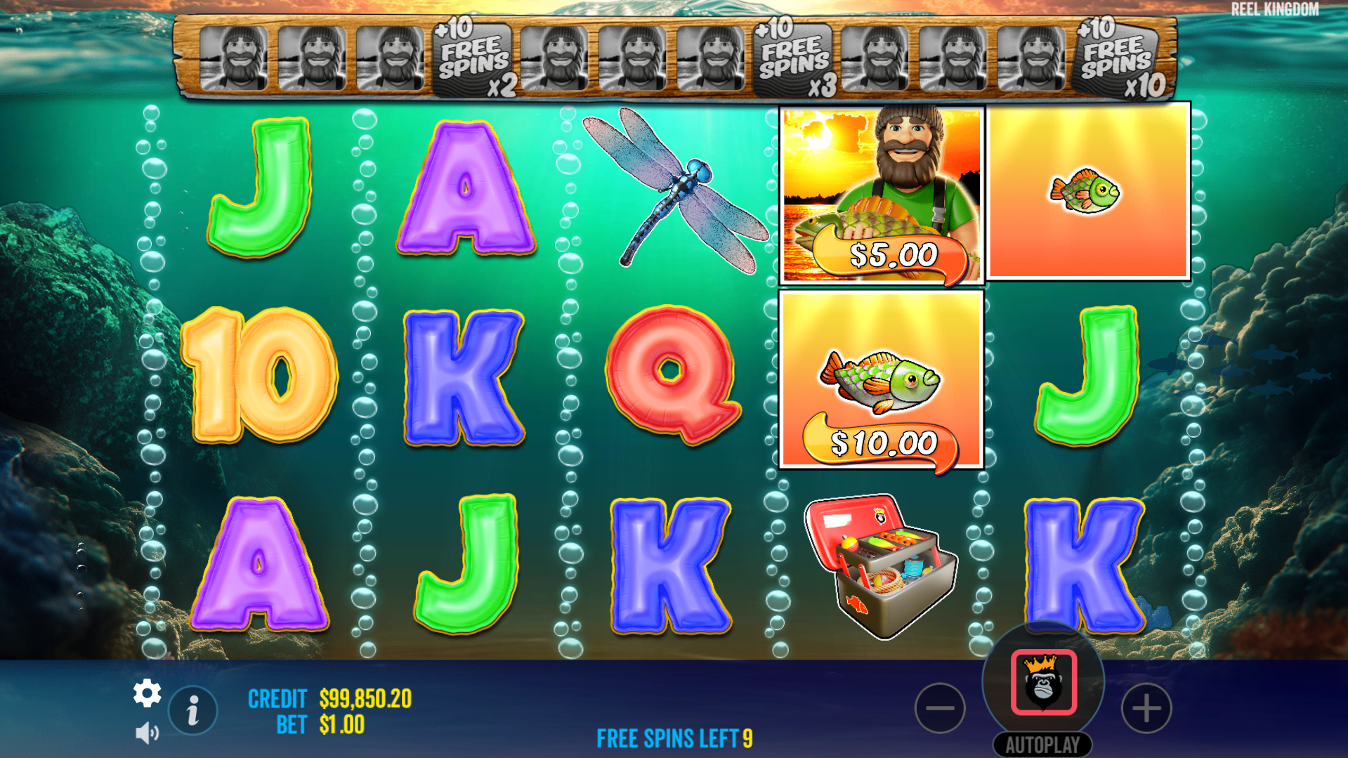 3 or more scatters triggers Free Spins that sees Wild symbols collect Money values