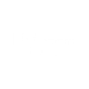 NYSpins Logo