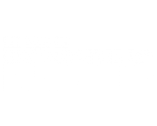 NYSpins logo