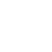 Pricedup Bet Casino logo