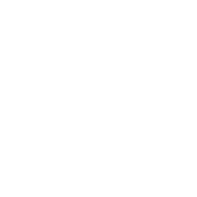 puntit Logo