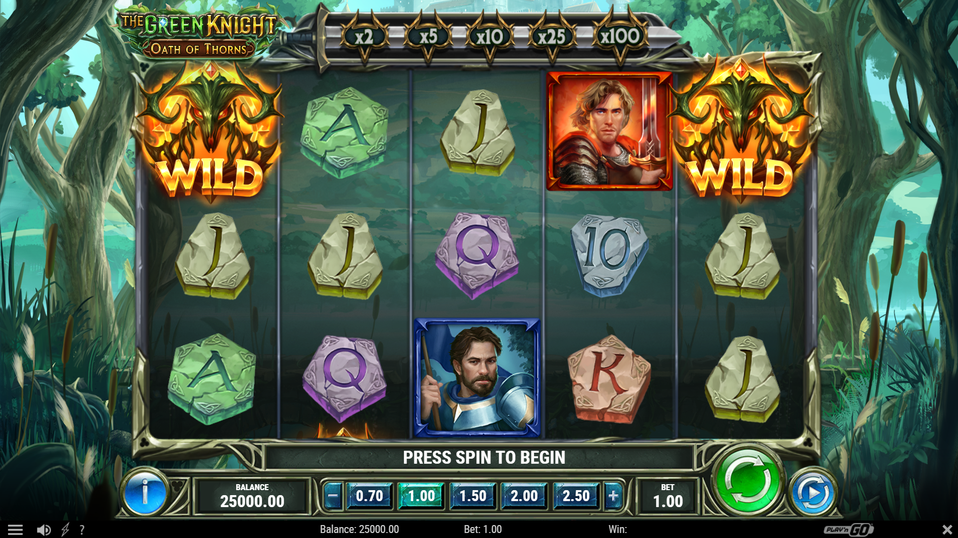 The Green Knight Oath of Thorns Base Game Play