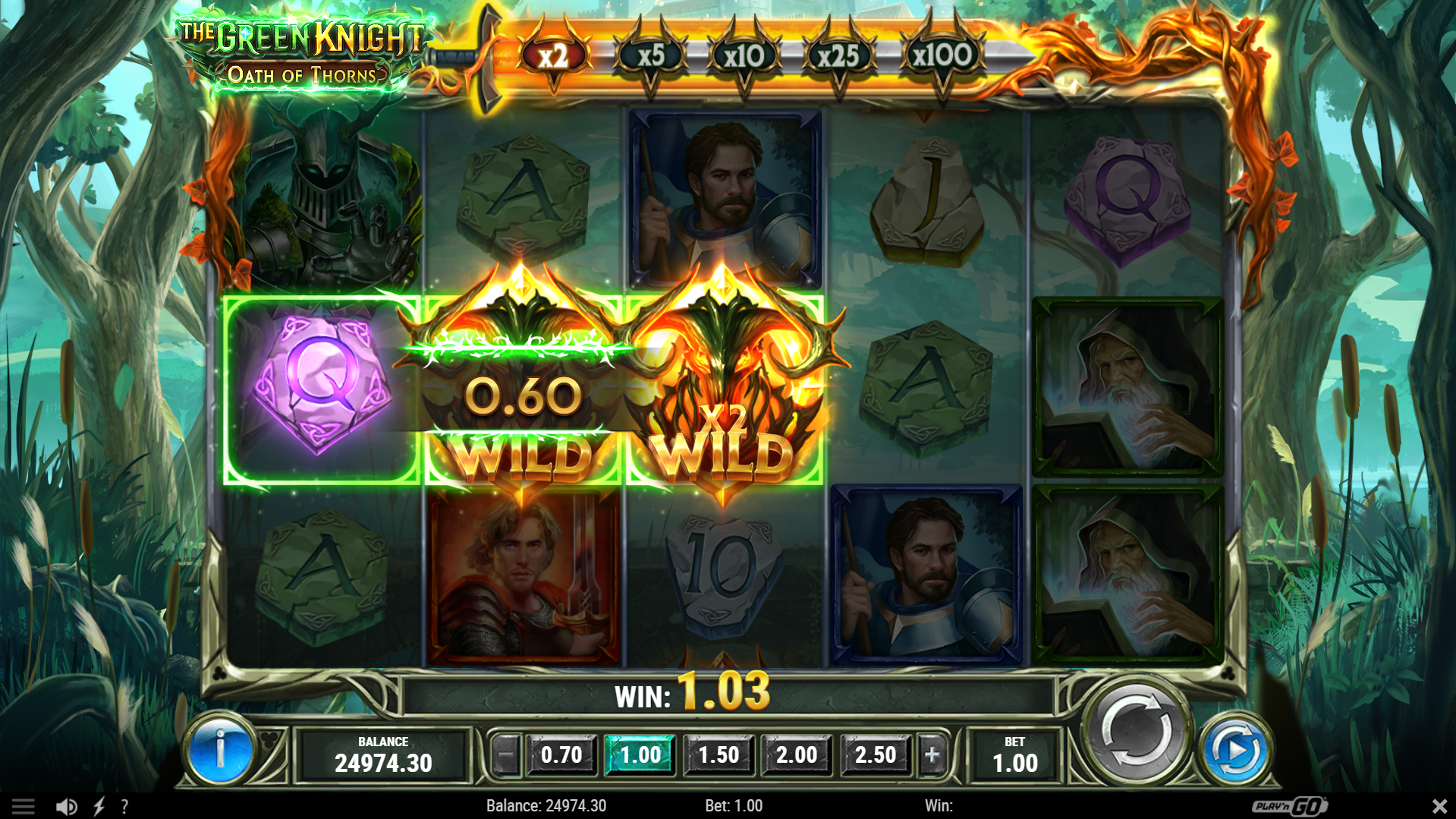 All Wild Symbols Which Land Whilst the Sword Meter is Active Adopt the Selected Multiplier Value