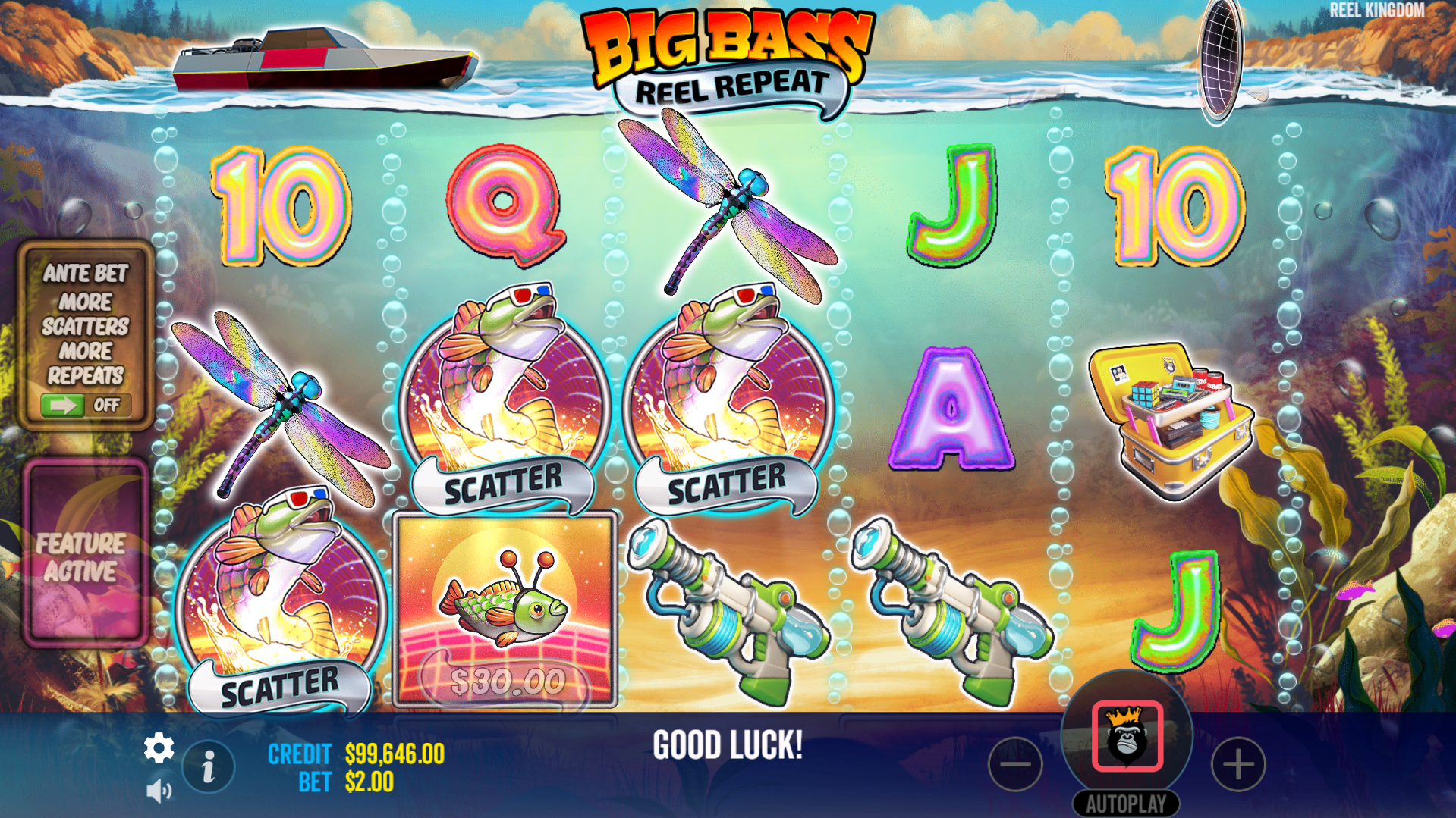 Land 3 or More Scatters to Trigger the Free Spins Bonus Game