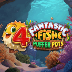 4 Fantastic Fish Puffer Pots Thumbnail