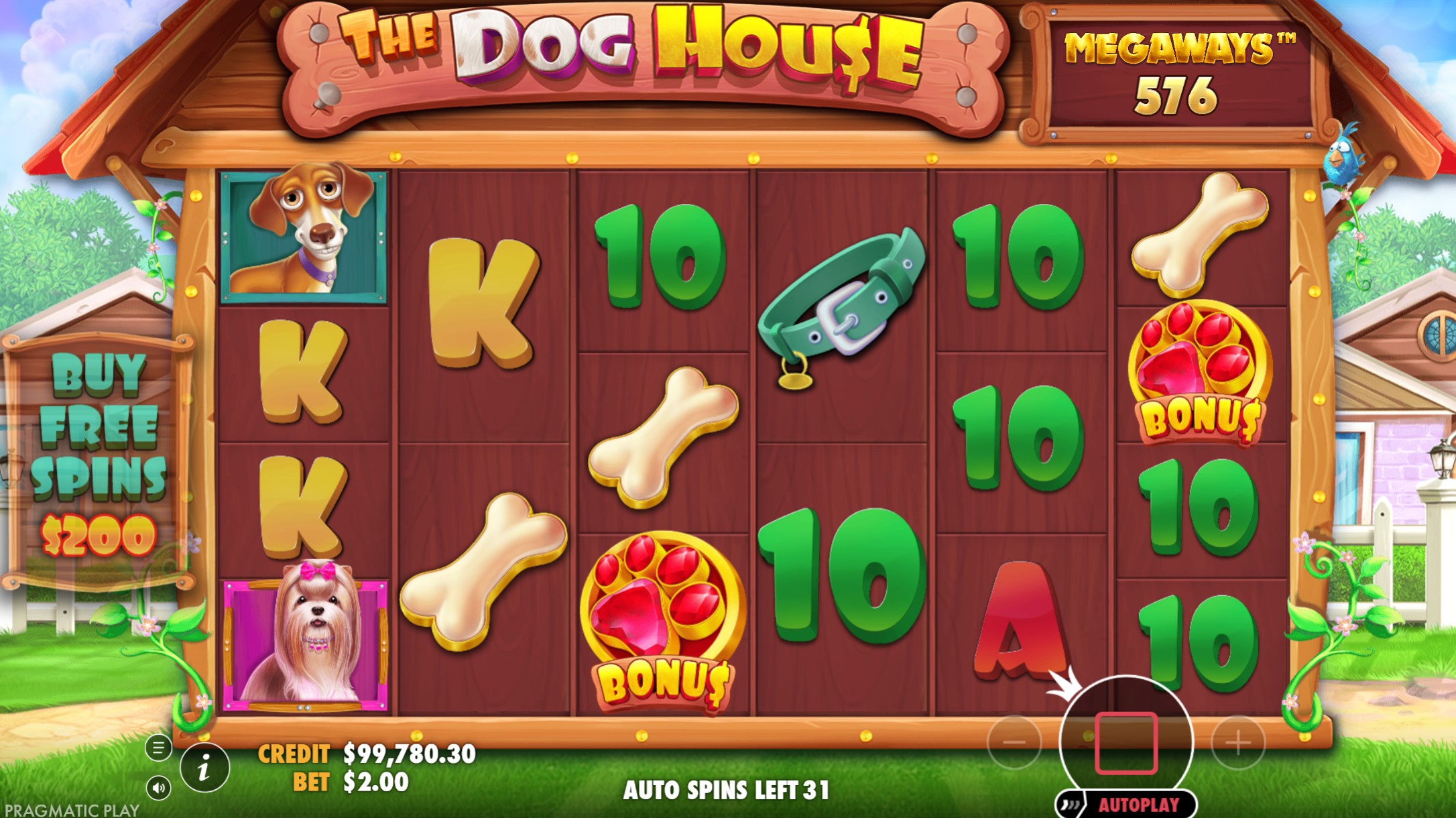 Land 3 Or More Scatters/Bonus Symbols to Trigger Free Spins