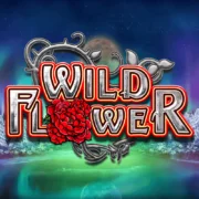 Big Time Gaming Wild Flower