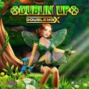 Dublin Up DoubleMax Logo