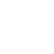 Casumo Logo