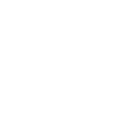 puntit Logo